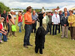 Muldental Alpakas 2012