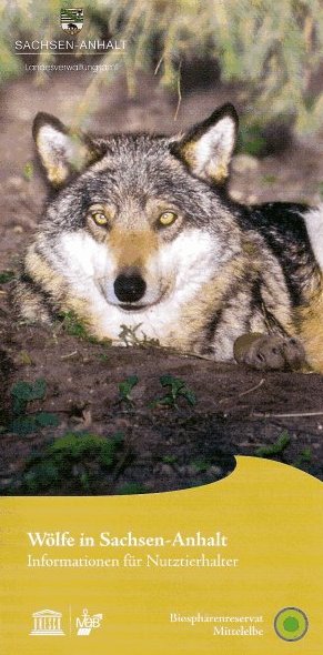 PDF-Download Flyer Sachsen